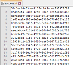 Success.txt.png
