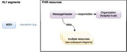 MSH Overview.jpg