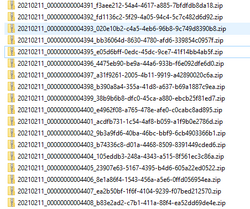 Zip file name example.png