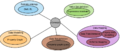 Thumbnail for version as of 08:50, 25 May 2020
