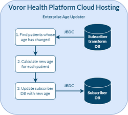 Enterprise age updater details.png