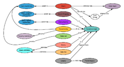 Modelling Components.png